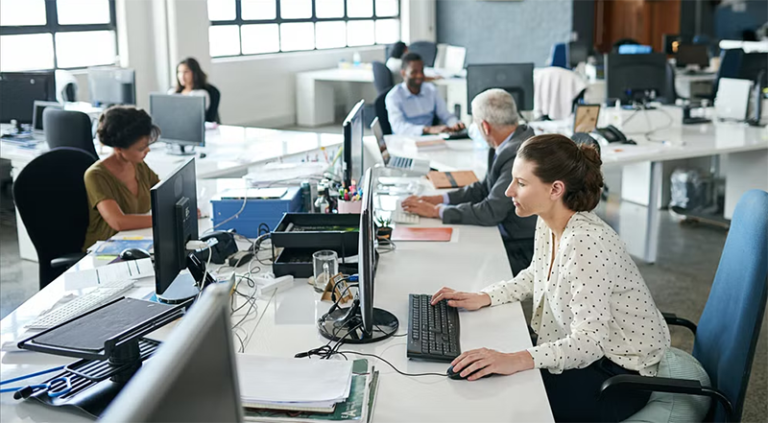 Quelles sont les offres d'emploi disponibles pour la fonction publique catégorie C 4 agents publics en action dans un bureau
