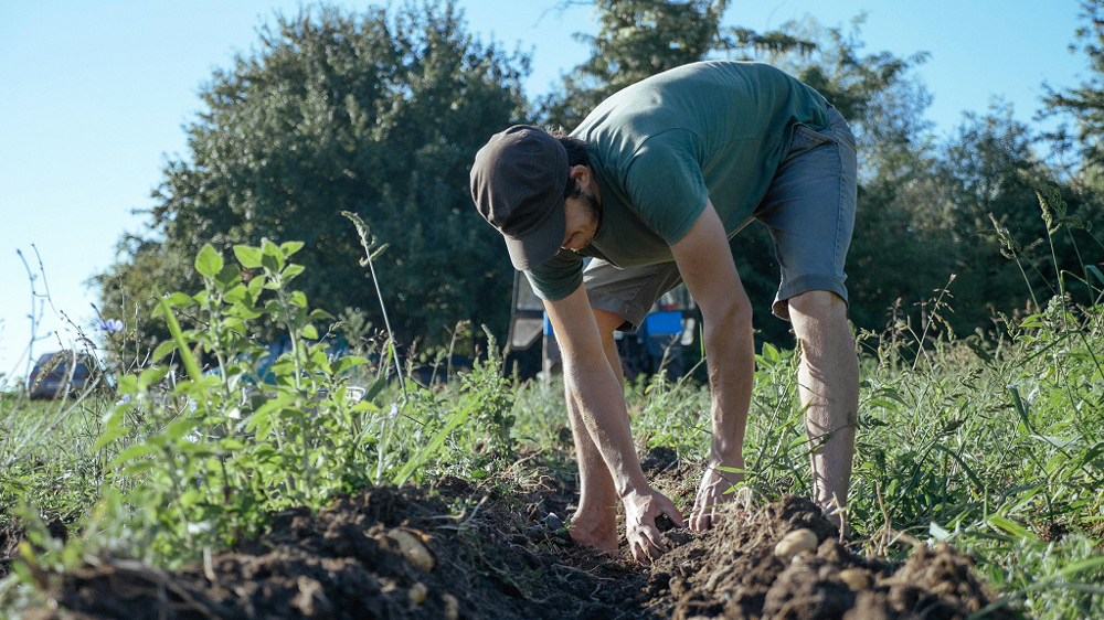 agriculteur travaillant avec un salarie