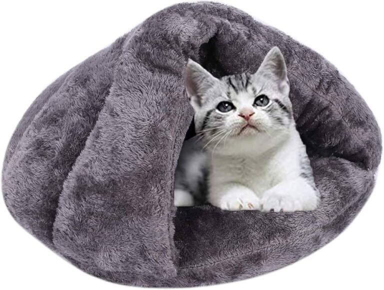 animal de compagnie sur un coussin douillet