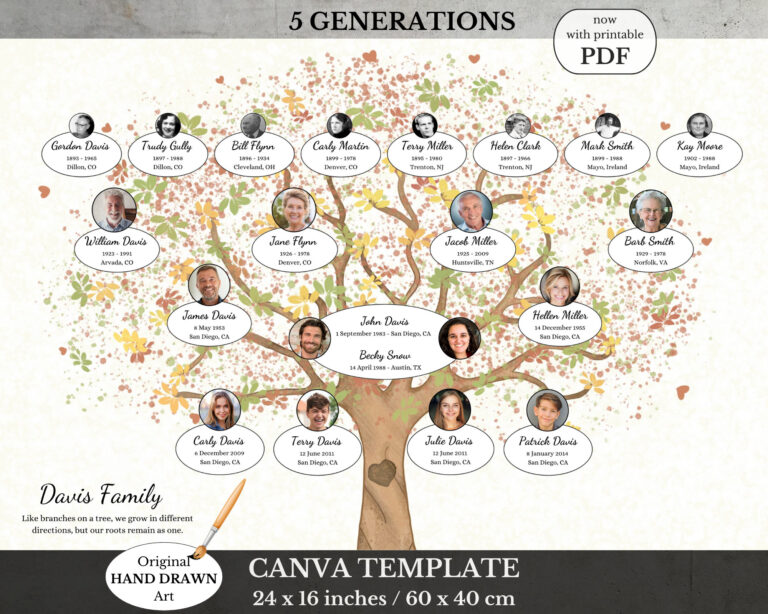 arbre genealogique illustrant des heritages divers