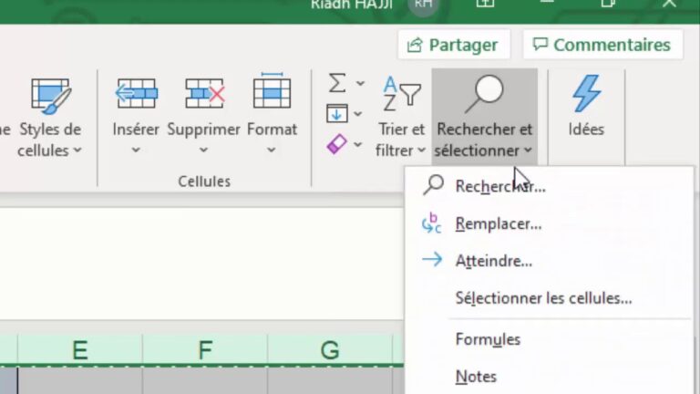 capture decran dexcel avec formules visibles