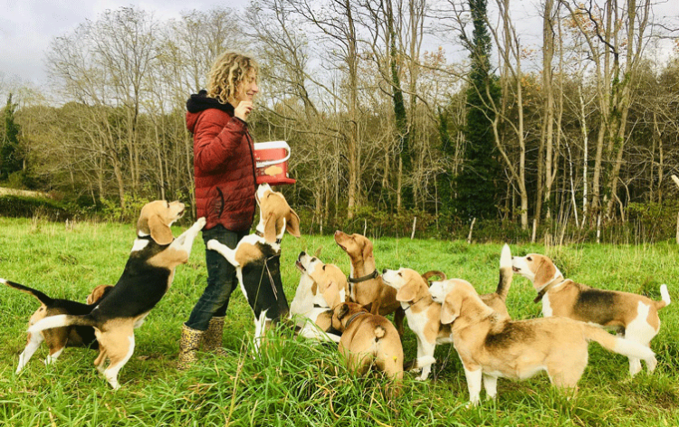 chien heureux dans une pension