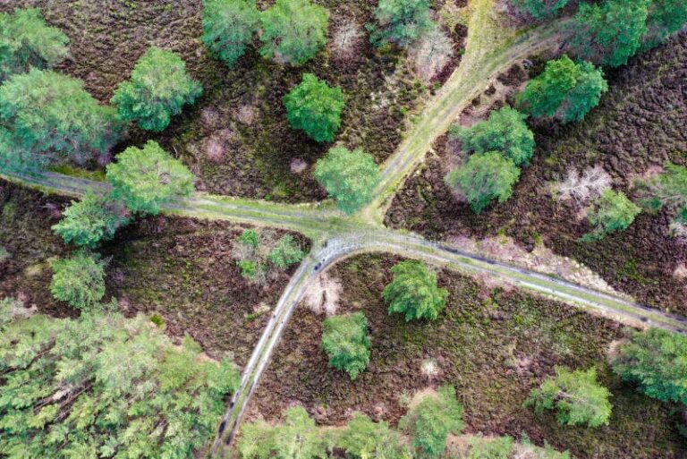 deux chemins se croisant dans un paysage