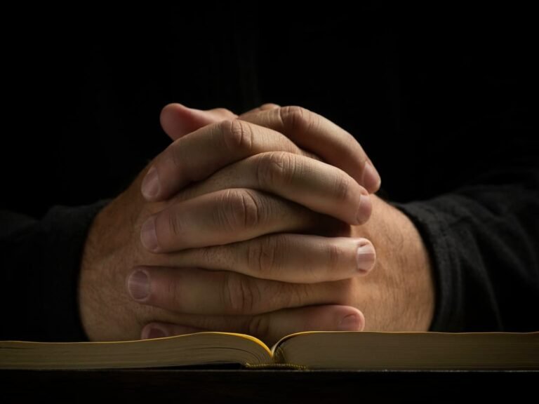 deux mains se serrant symboliquement 1