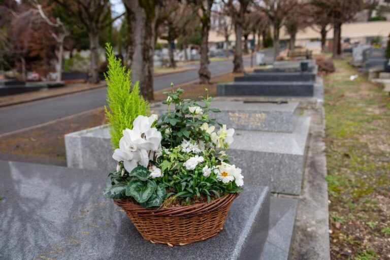 fleurs blanches sur une tombe paisible