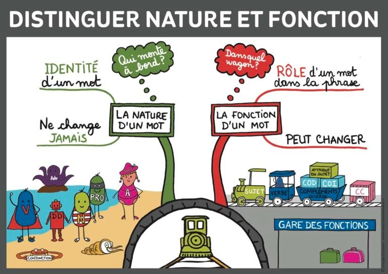 illustration dun mot en contexte grammatical