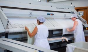 machine a repasser automate en action