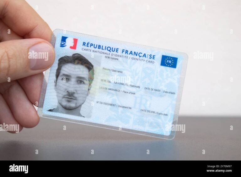 Comment Obtenir Une Fiche D'État Civil En France Facilement 60 personne tenant une carte didentite francaise