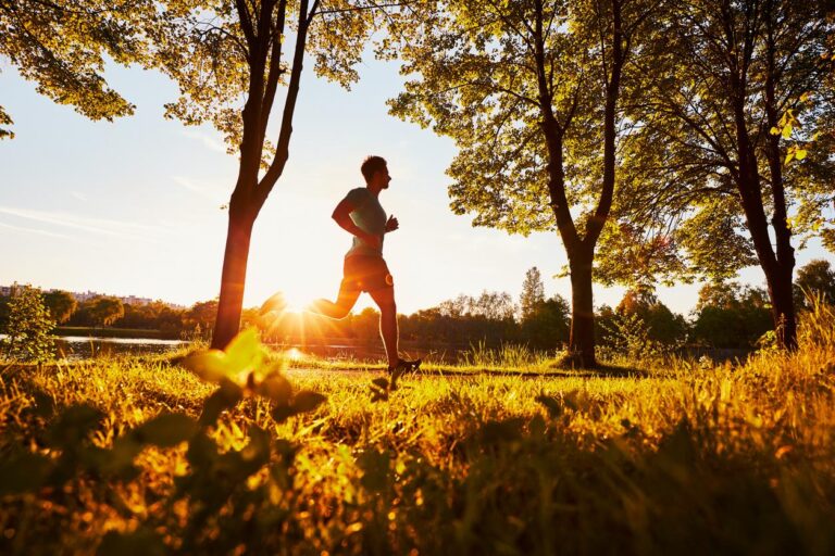 personnes se soutenant dans un cadre naturel