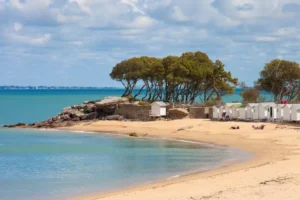 plage de sable blanc et dunes a noirmoutier