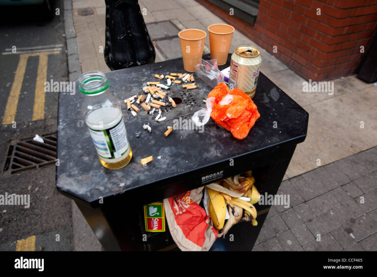 poubelles debordantes dans une rue animee