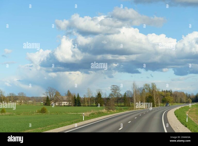 un chemin bifurquant sous un ciel nuageux