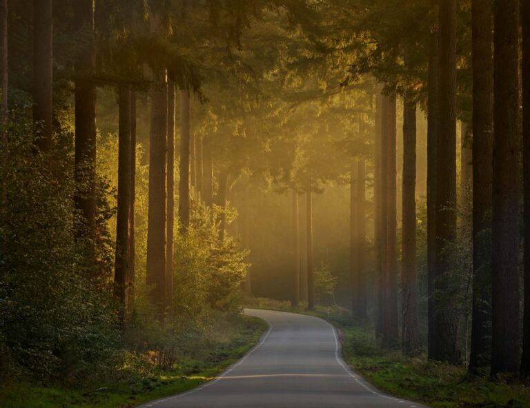 un lever de soleil sur un chemin