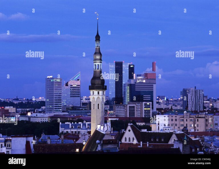 une mairie avec des batiments en arriere plan