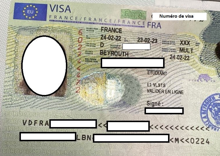 Pourquoi n’ai-je pas de ceseda sur mon visa